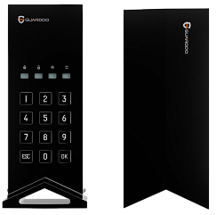Мини-диск Pro Edition GuardDo с шифрованием и паролем