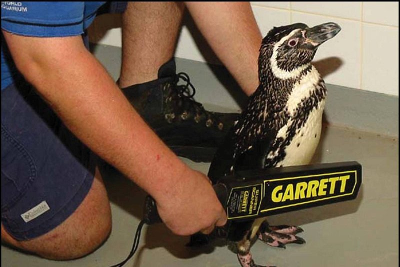 GARRETT SUPER SCANNER V