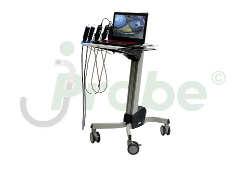 jProbe DS