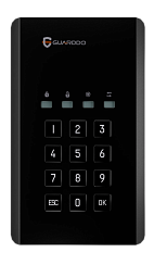SSD-диск GuardDo с паролем и шифрованием AES-256