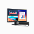 Информационная система Лис-40НС